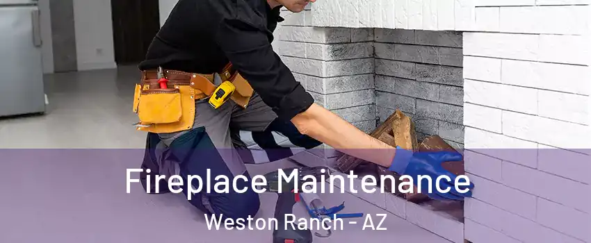 Fireplace Maintenance Weston Ranch - AZ