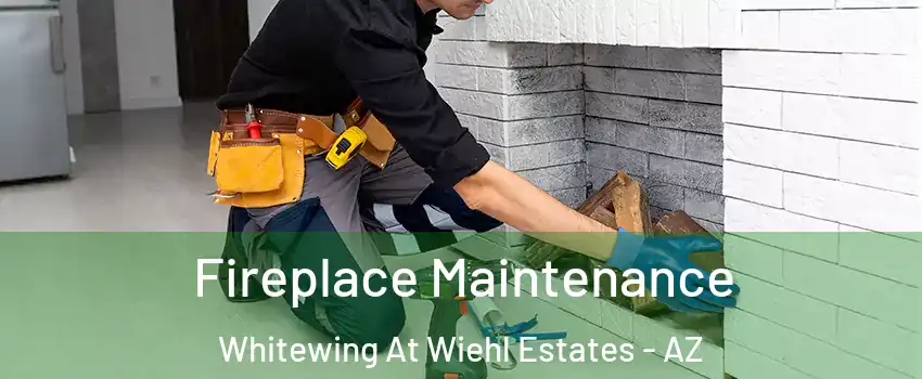 Fireplace Maintenance Whitewing At Wiehl Estates - AZ