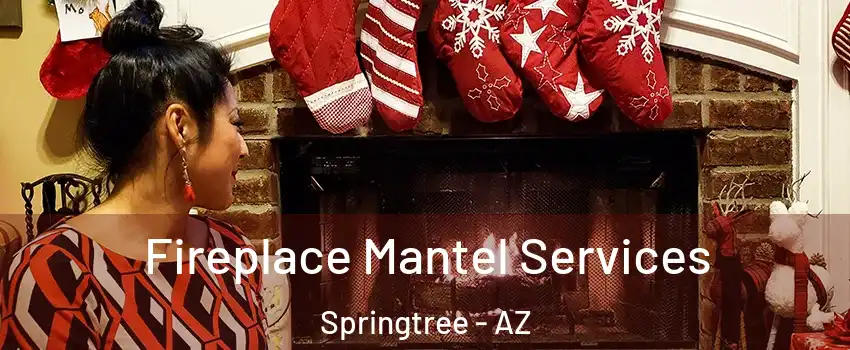 Fireplace Mantel Services Springtree - AZ