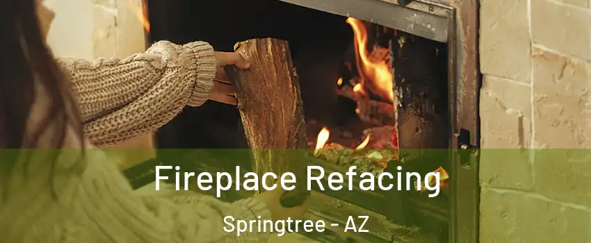 Fireplace Refacing Springtree - AZ