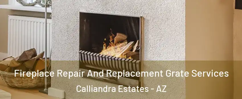 Fireplace Repair And Replacement Grate Services Calliandra Estates - AZ