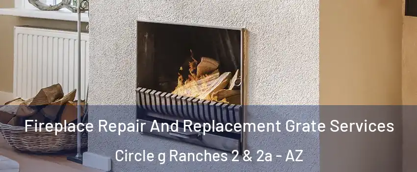 Fireplace Repair And Replacement Grate Services Circle g Ranches 2 & 2a - AZ