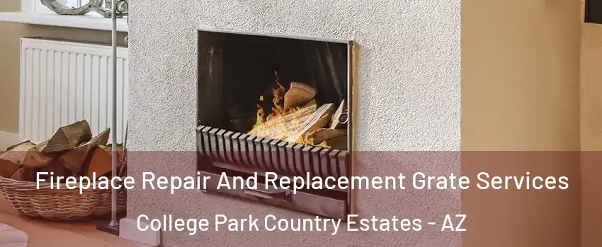 Fireplace Repair And Replacement Grate Services College Park Country Estates - AZ