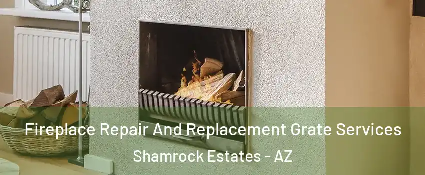 Fireplace Repair And Replacement Grate Services Shamrock Estates - AZ