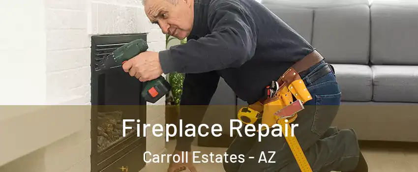 Fireplace Repair Carroll Estates - AZ