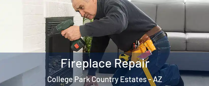 Fireplace Repair College Park Country Estates - AZ