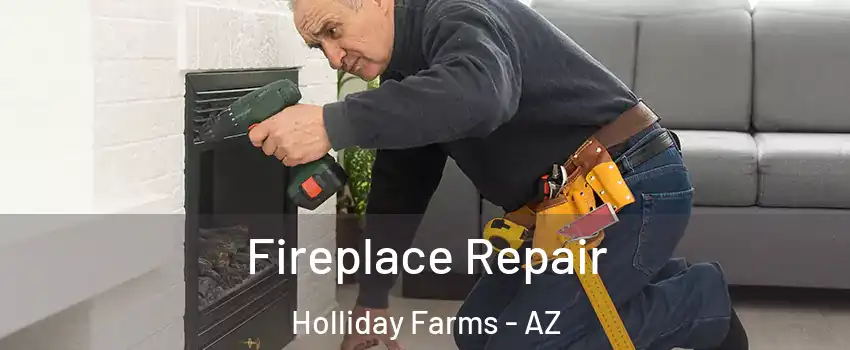 Fireplace Repair Holliday Farms - AZ