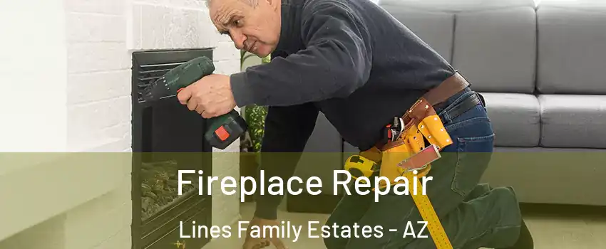 Fireplace Repair Lines Family Estates - AZ