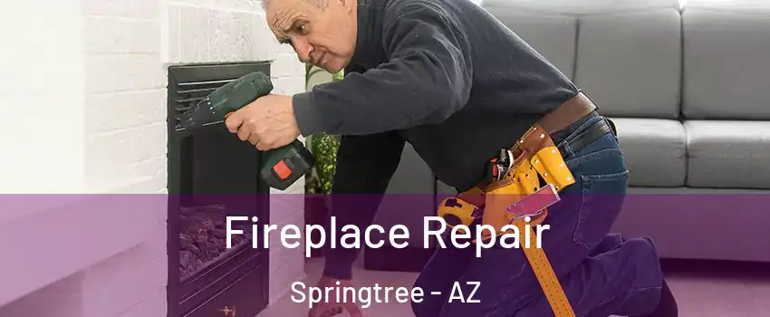 Fireplace Repair Springtree - AZ