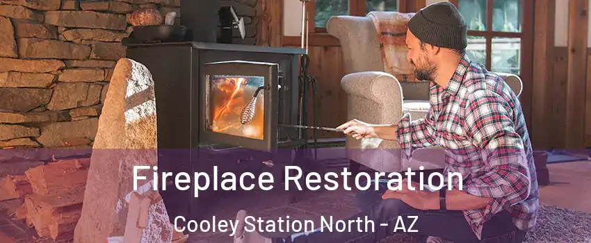 Fireplace Restoration Cooley Station North - AZ