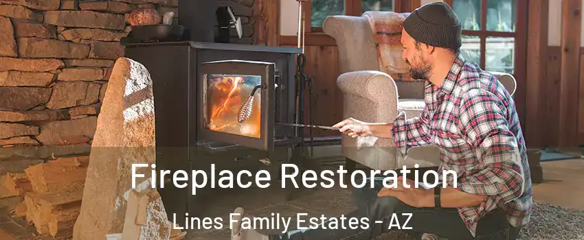 Fireplace Restoration Lines Family Estates - AZ