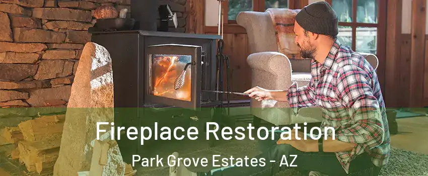 Fireplace Restoration Park Grove Estates - AZ