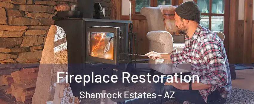 Fireplace Restoration Shamrock Estates - AZ