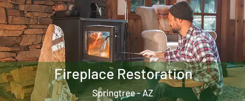 Fireplace Restoration Springtree - AZ