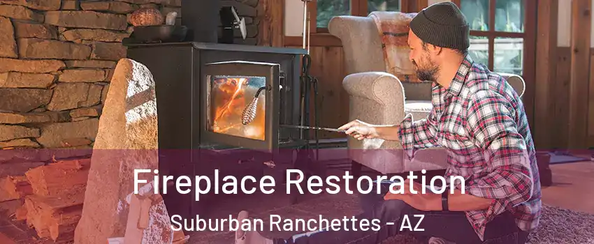 Fireplace Restoration Suburban Ranchettes - AZ