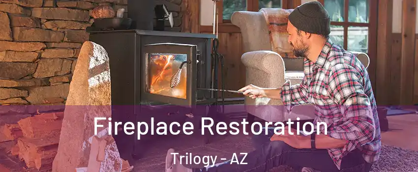 Fireplace Restoration Trilogy - AZ