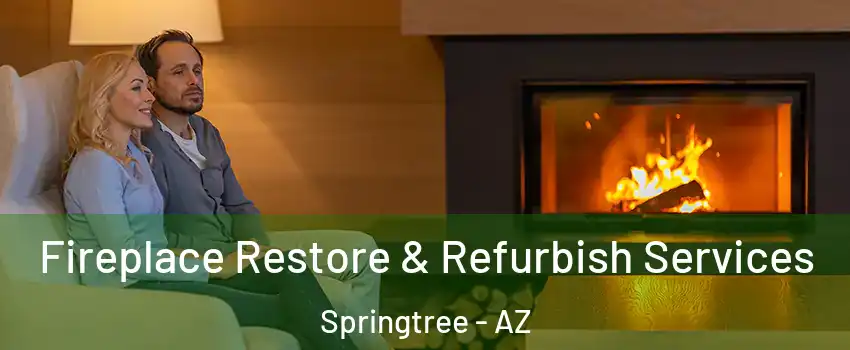Fireplace Restore & Refurbish Services Springtree - AZ