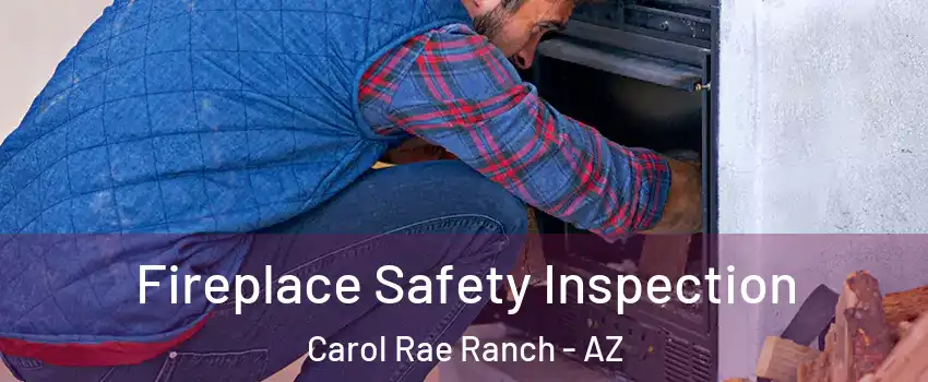 Fireplace Safety Inspection Carol Rae Ranch - AZ