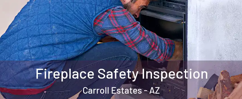 Fireplace Safety Inspection Carroll Estates - AZ