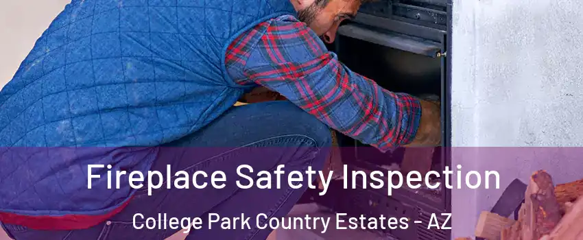 Fireplace Safety Inspection College Park Country Estates - AZ