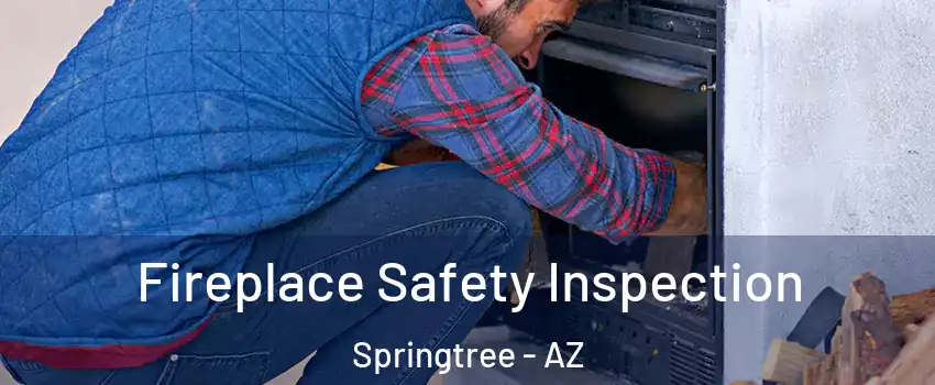 Fireplace Safety Inspection Springtree - AZ