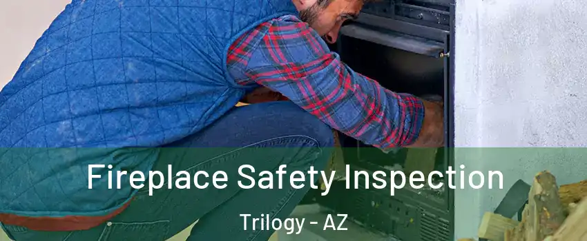 Fireplace Safety Inspection Trilogy - AZ
