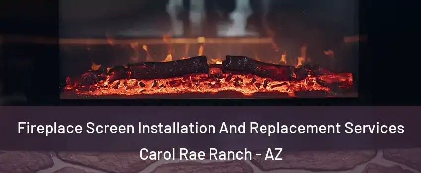 Fireplace Screen Installation And Replacement Services Carol Rae Ranch - AZ