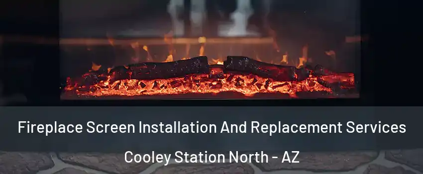 Fireplace Screen Installation And Replacement Services Cooley Station North - AZ