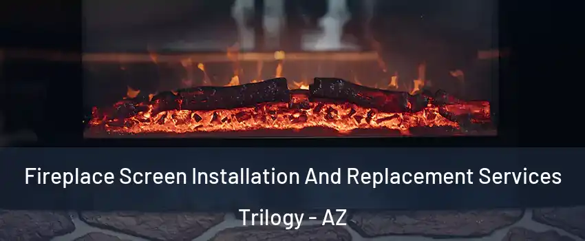 Fireplace Screen Installation And Replacement Services Trilogy - AZ