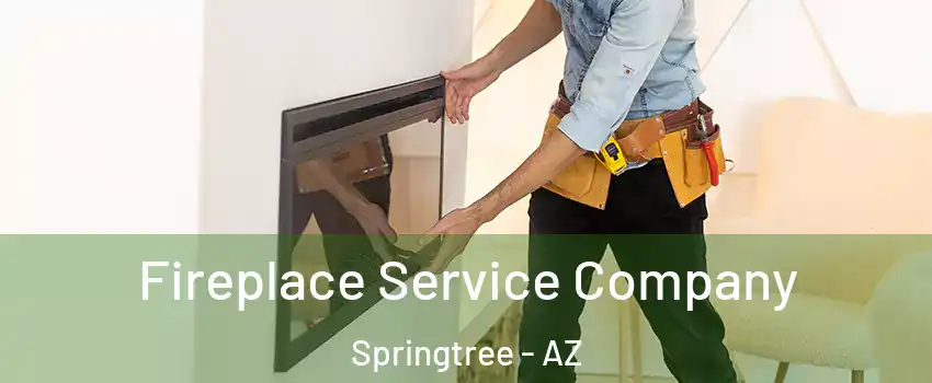 Fireplace Service Company Springtree - AZ