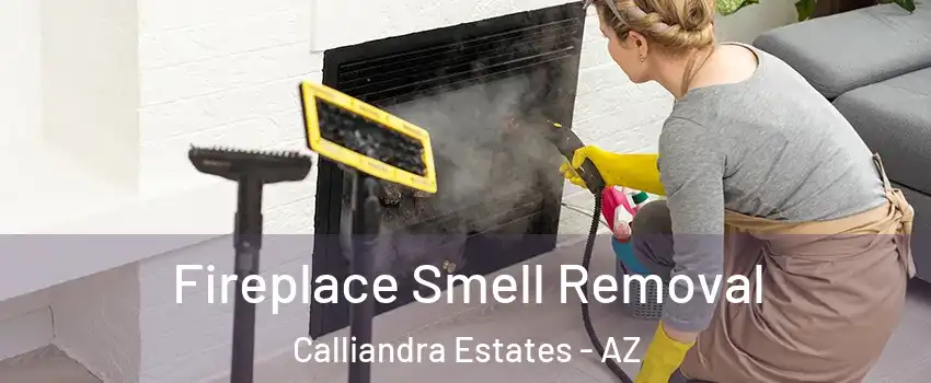 Fireplace Smell Removal Calliandra Estates - AZ