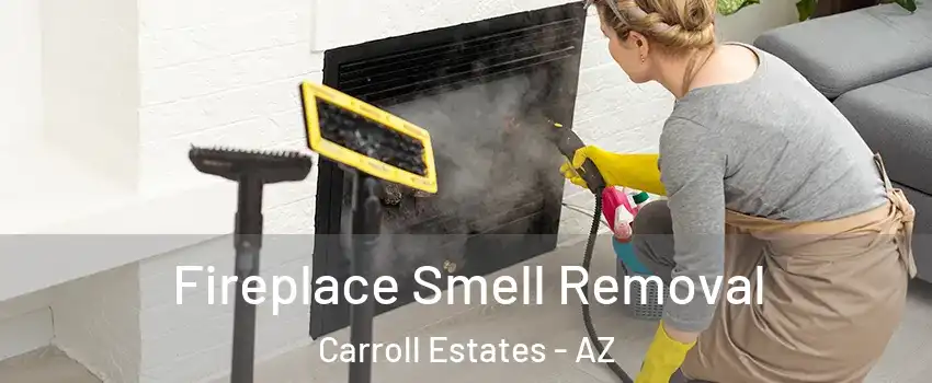 Fireplace Smell Removal Carroll Estates - AZ