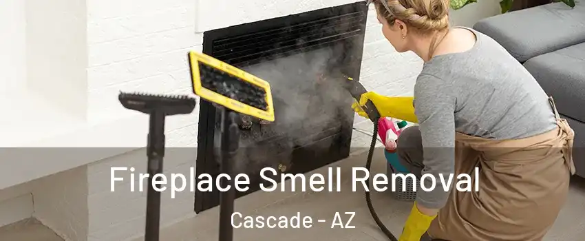 Fireplace Smell Removal Cascade - AZ