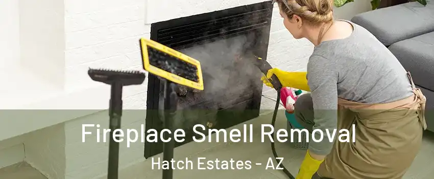 Fireplace Smell Removal Hatch Estates - AZ