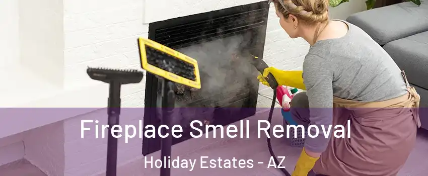 Fireplace Smell Removal Holiday Estates - AZ