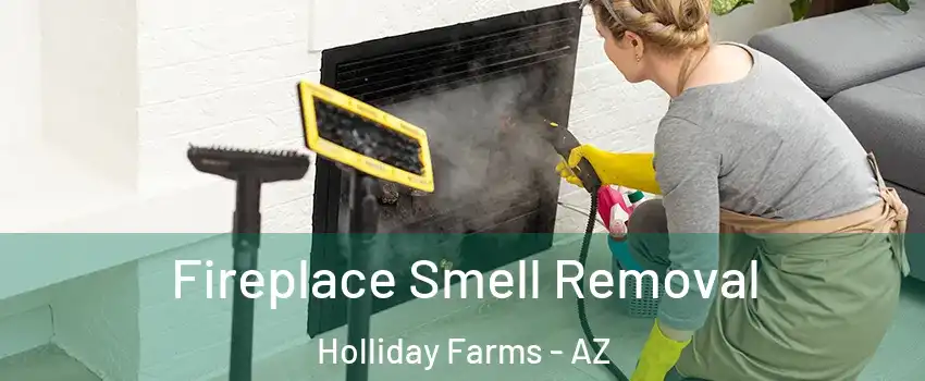 Fireplace Smell Removal Holliday Farms - AZ