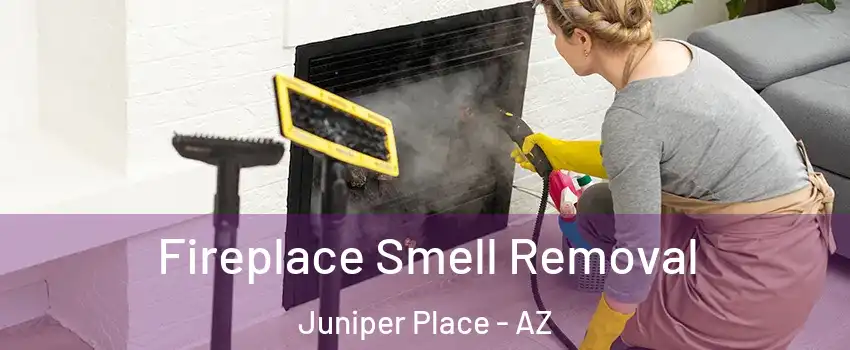 Fireplace Smell Removal Juniper Place - AZ