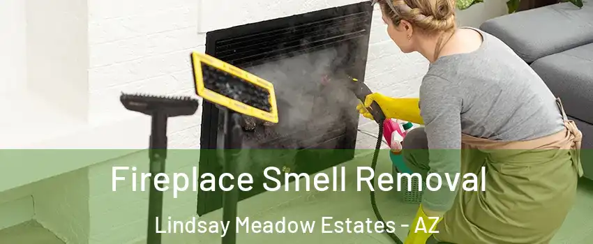 Fireplace Smell Removal Lindsay Meadow Estates - AZ