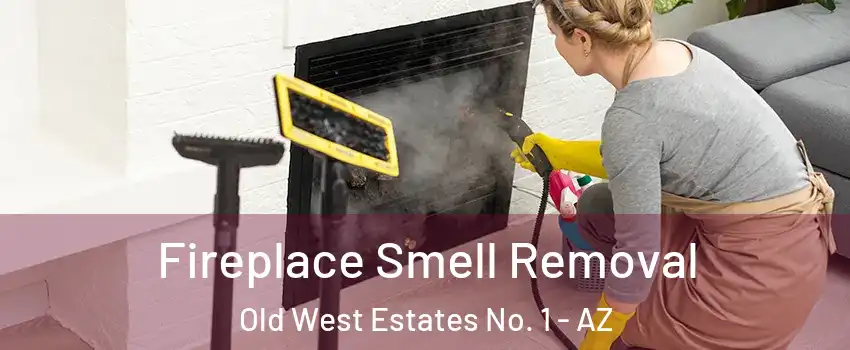 Fireplace Smell Removal Old West Estates No. 1 - AZ