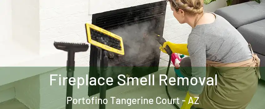 Fireplace Smell Removal Portofino Tangerine Court - AZ