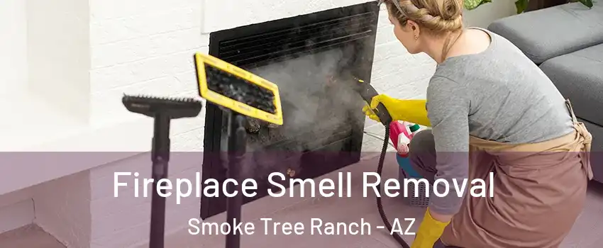 Fireplace Smell Removal Smoke Tree Ranch - AZ