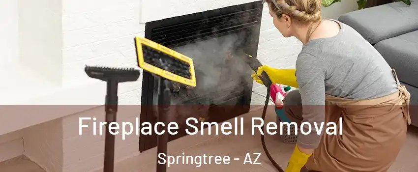 Fireplace Smell Removal Springtree - AZ