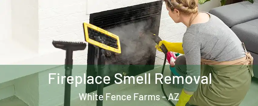 Fireplace Smell Removal White Fence Farms - AZ