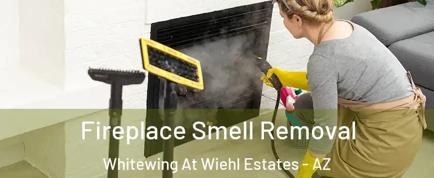 Fireplace Smell Removal Whitewing At Wiehl Estates - AZ