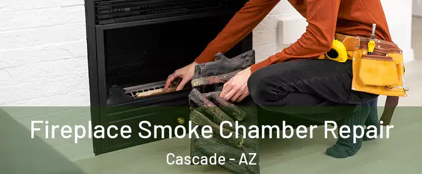Fireplace Smoke Chamber Repair Cascade - AZ
