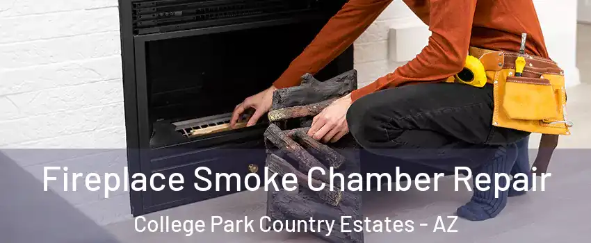 Fireplace Smoke Chamber Repair College Park Country Estates - AZ