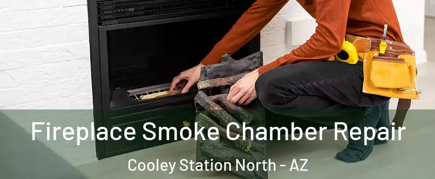 Fireplace Smoke Chamber Repair Cooley Station North - AZ