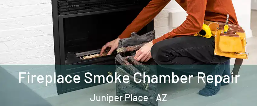 Fireplace Smoke Chamber Repair Juniper Place - AZ