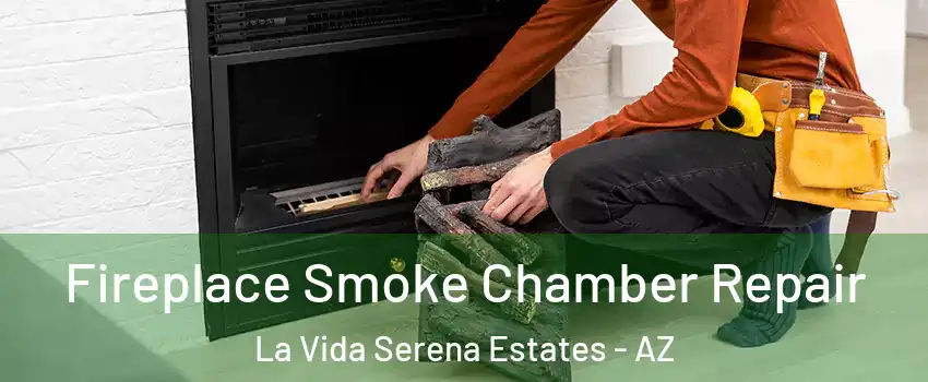Fireplace Smoke Chamber Repair La Vida Serena Estates - AZ