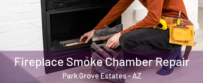 Fireplace Smoke Chamber Repair Park Grove Estates - AZ